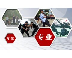 私人保镖2